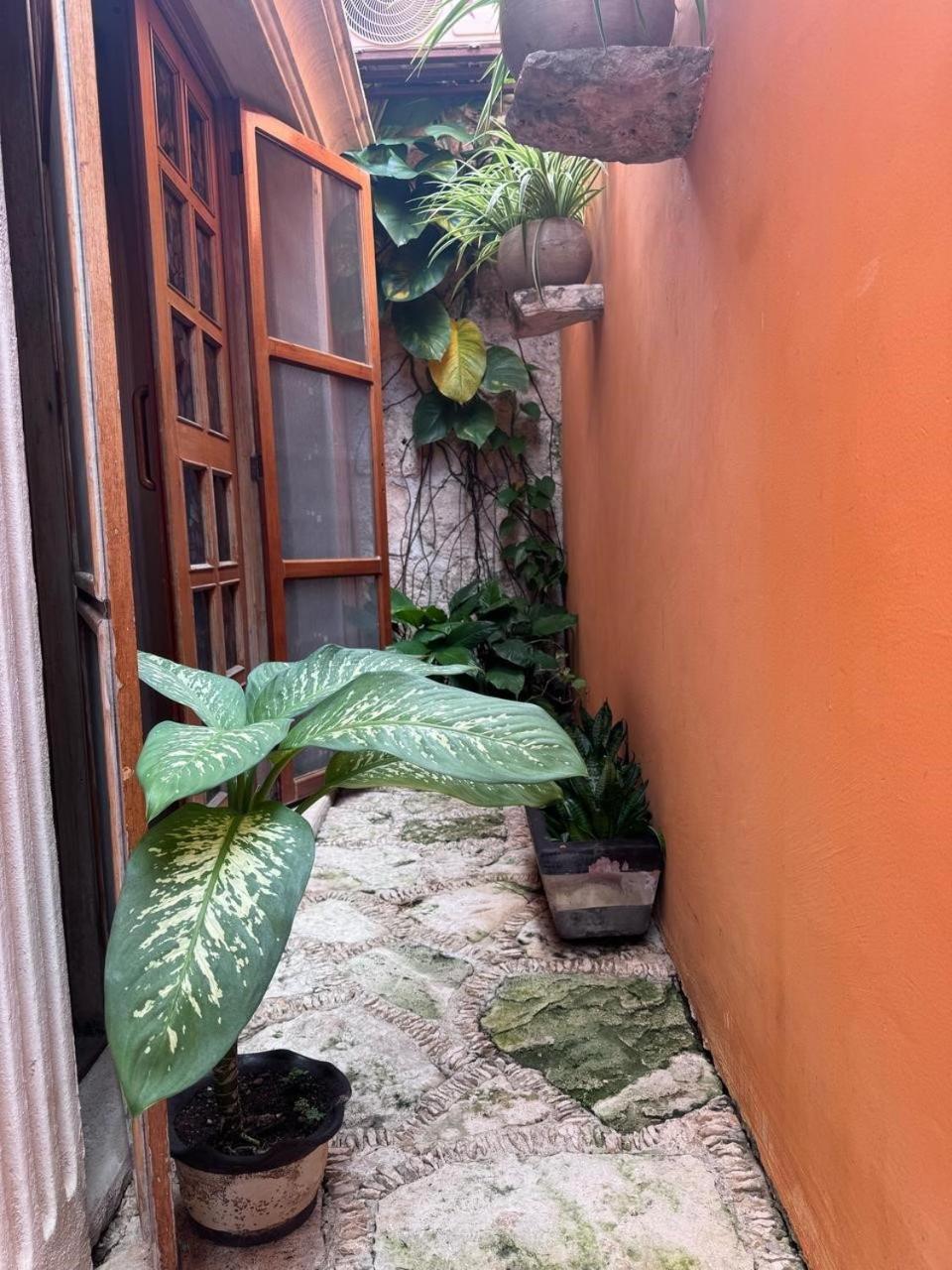 Hotel Casa Mallorca Cancún Esterno foto