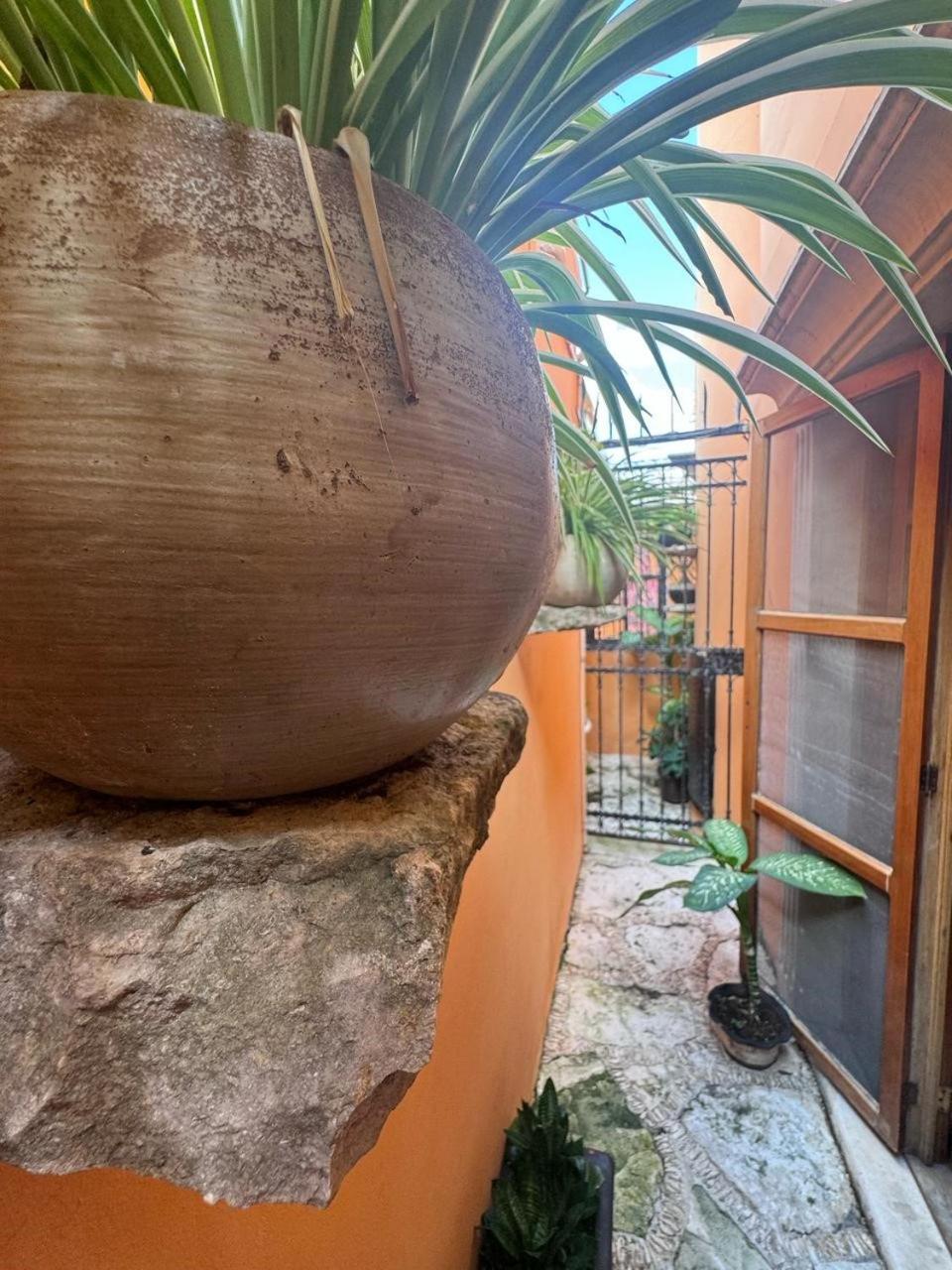 Hotel Casa Mallorca Cancún Esterno foto